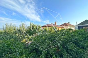 Изображение 19