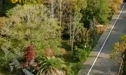 Земельный участок под масштабное стоительство