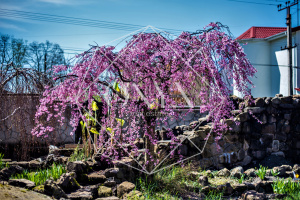 Изображение 62