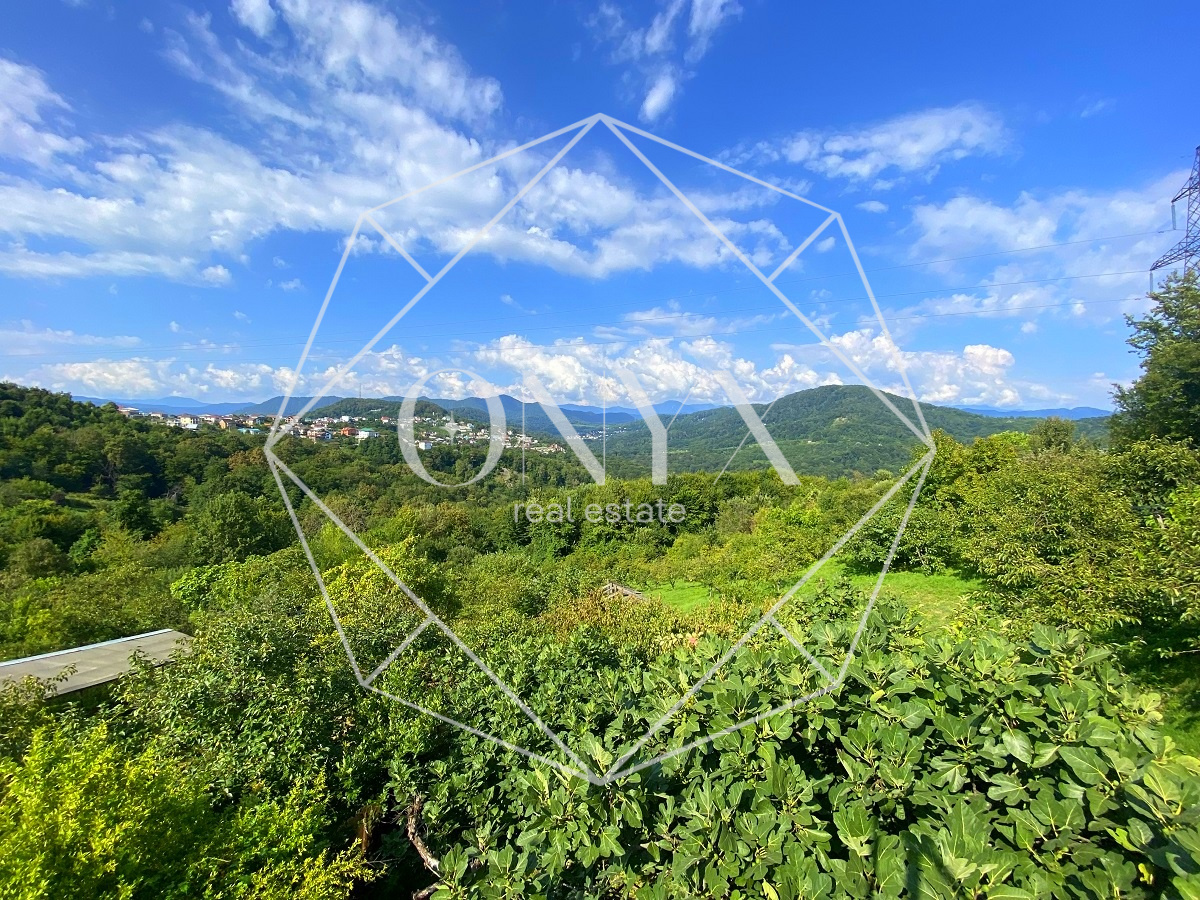 Изображение 13