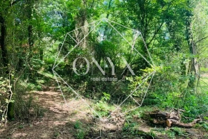 Изображение 22