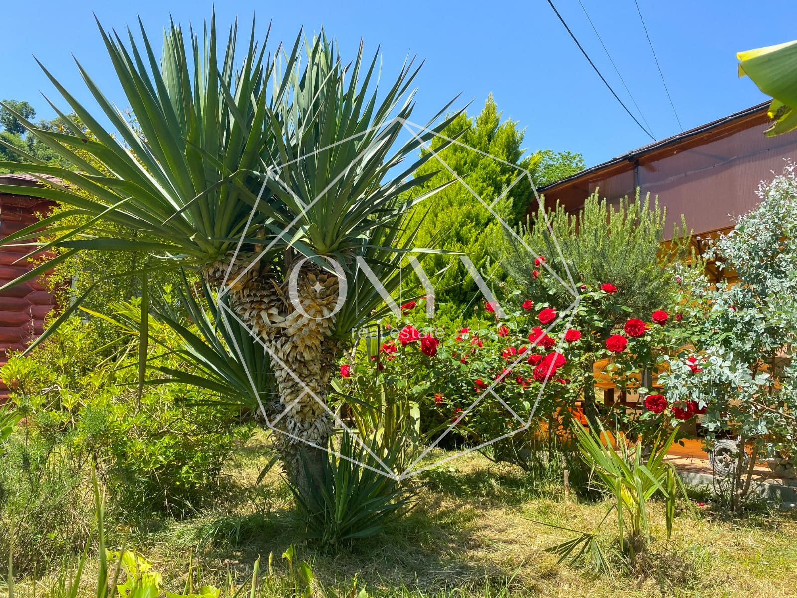 Изображение 12