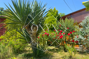 Изображение 12