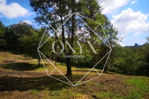 Изображение 13