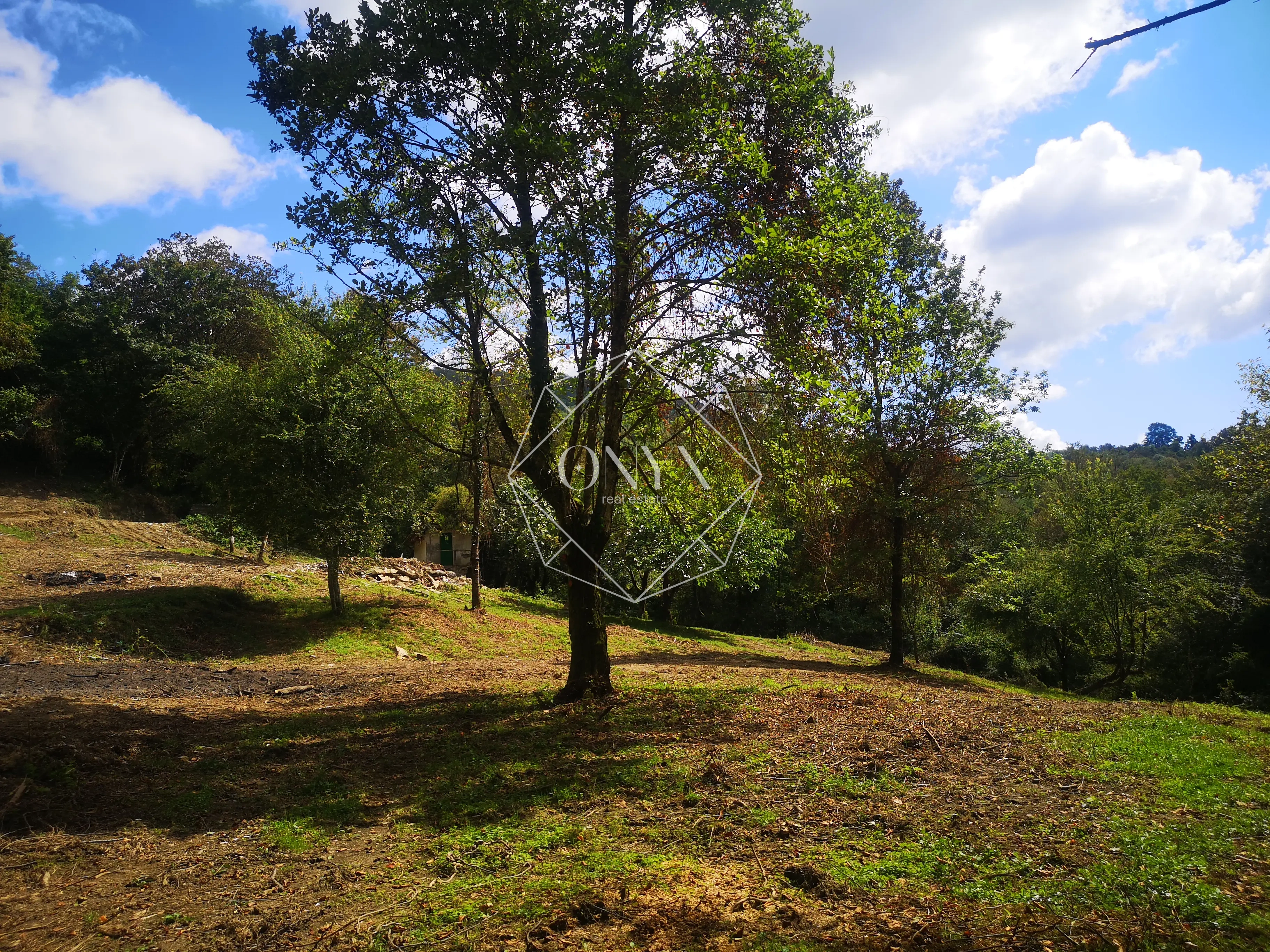 Изображение 13