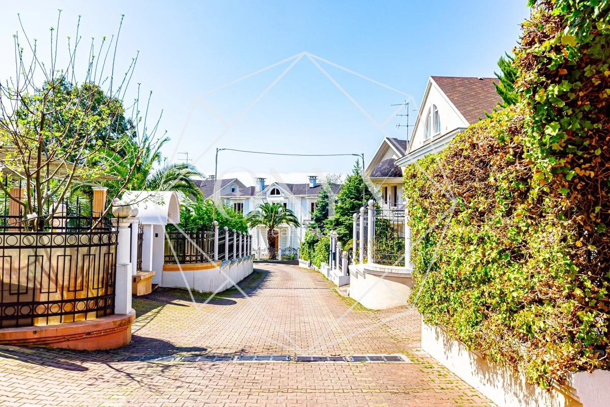 Изображение 12