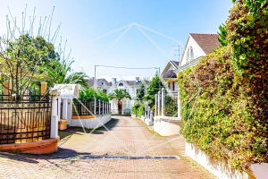 Изображение 12