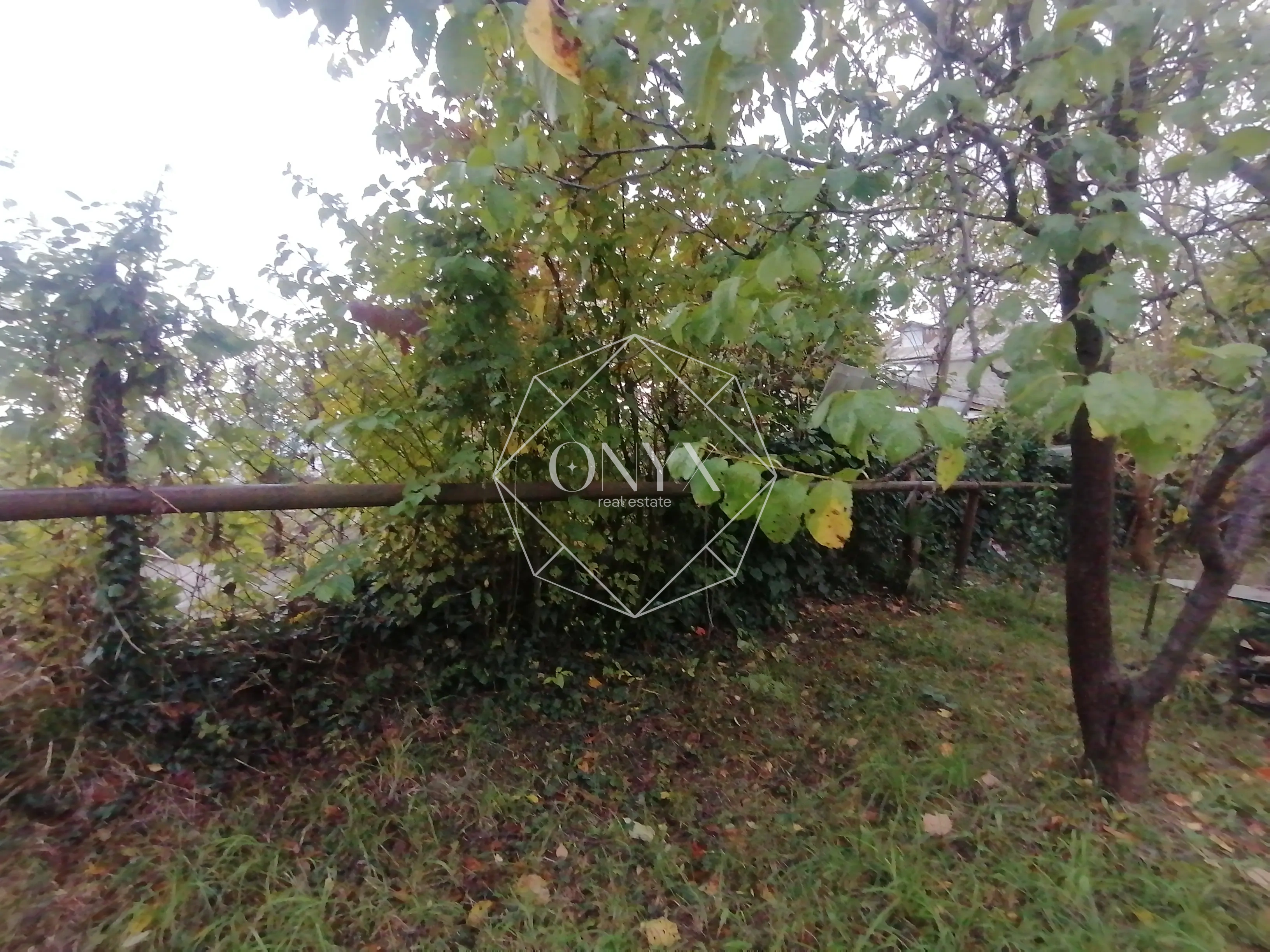 Изображение 11