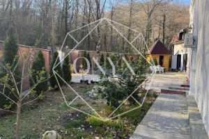 Изображение 11