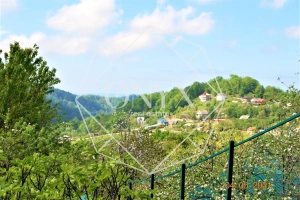 Изображение 12