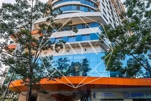 Изображение 11