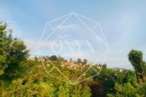 Изображение 12