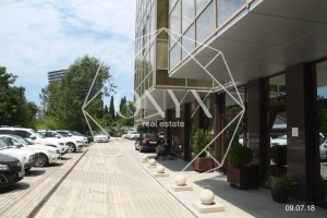 Изображение 13