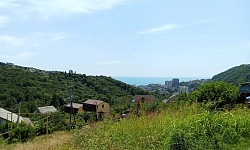 Превосходный участок.