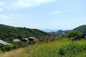 Превосходный участок.