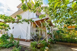 Изображение 12