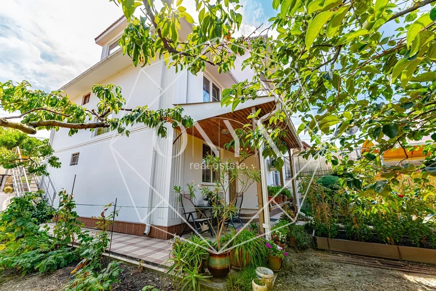 Изображение 12