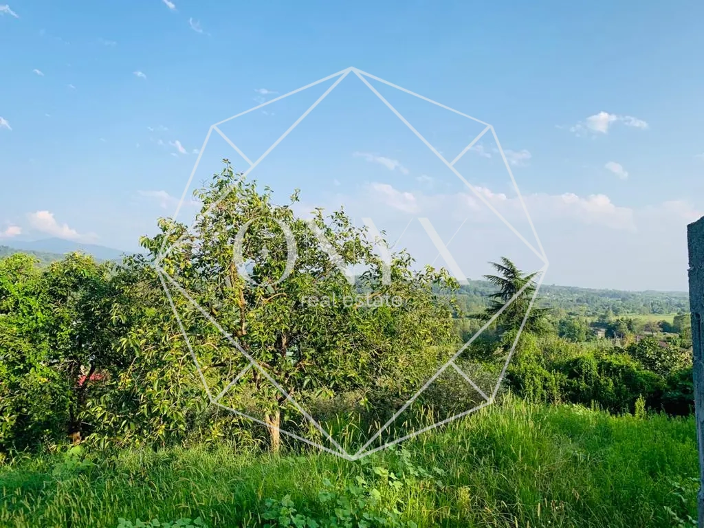 Изображение 9