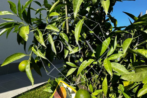 Изображение 9