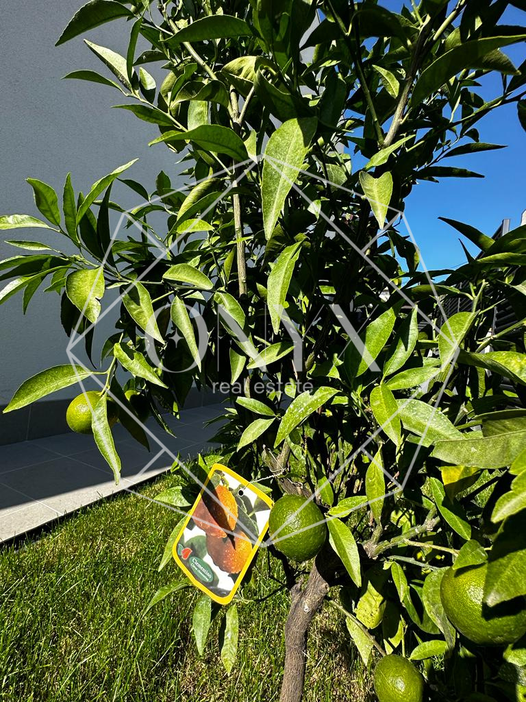 Изображение 9