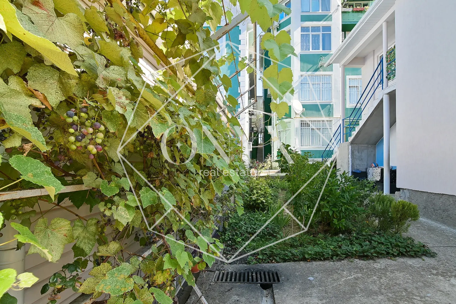 Изображение 14