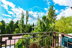 Изображение 19