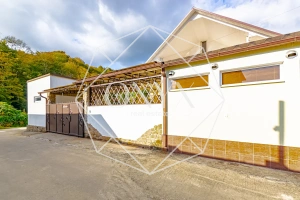 Изображение 31