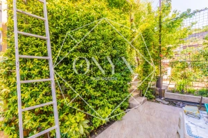 Изображение 12