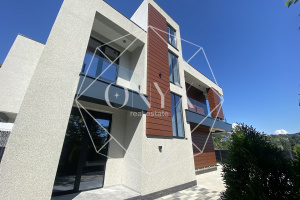 Изображение 12