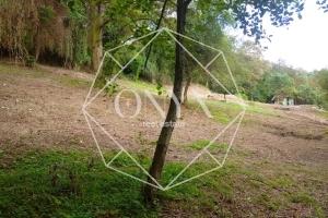 Изображение 11