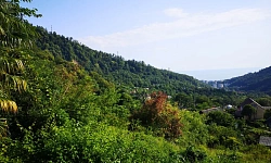 Видовой участок в Хосте