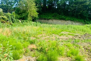 Участок в Сергей поле