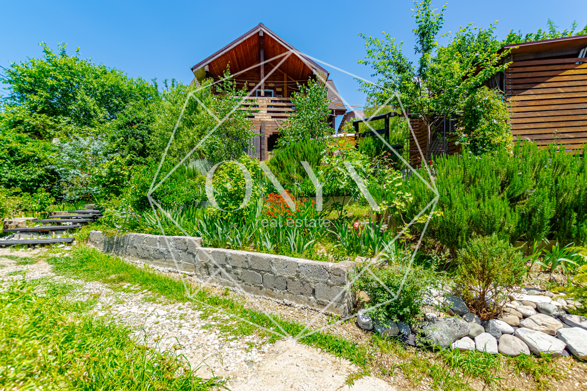 Изображение 13