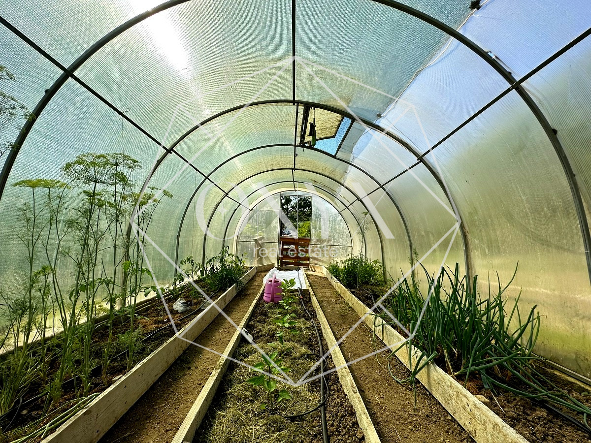 Изображение 31