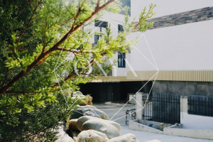 Изображение 13