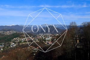 Изображение 27