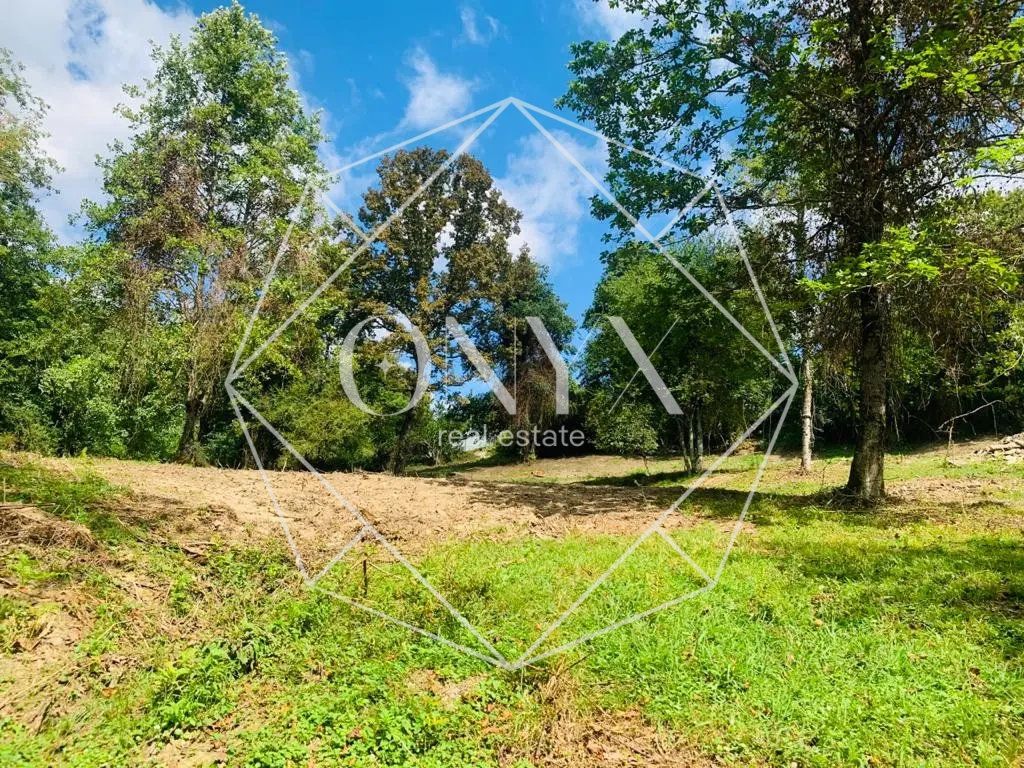 Изображение 7