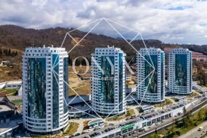 Изображение 9