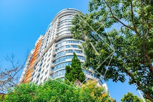 Изображение 16