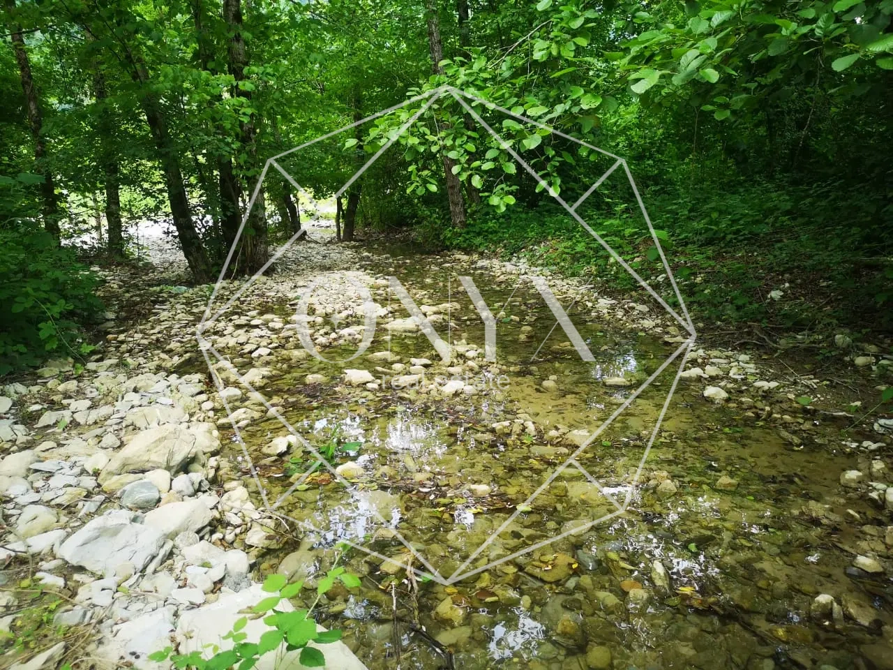 Изображение 13