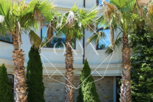 Изображение 12