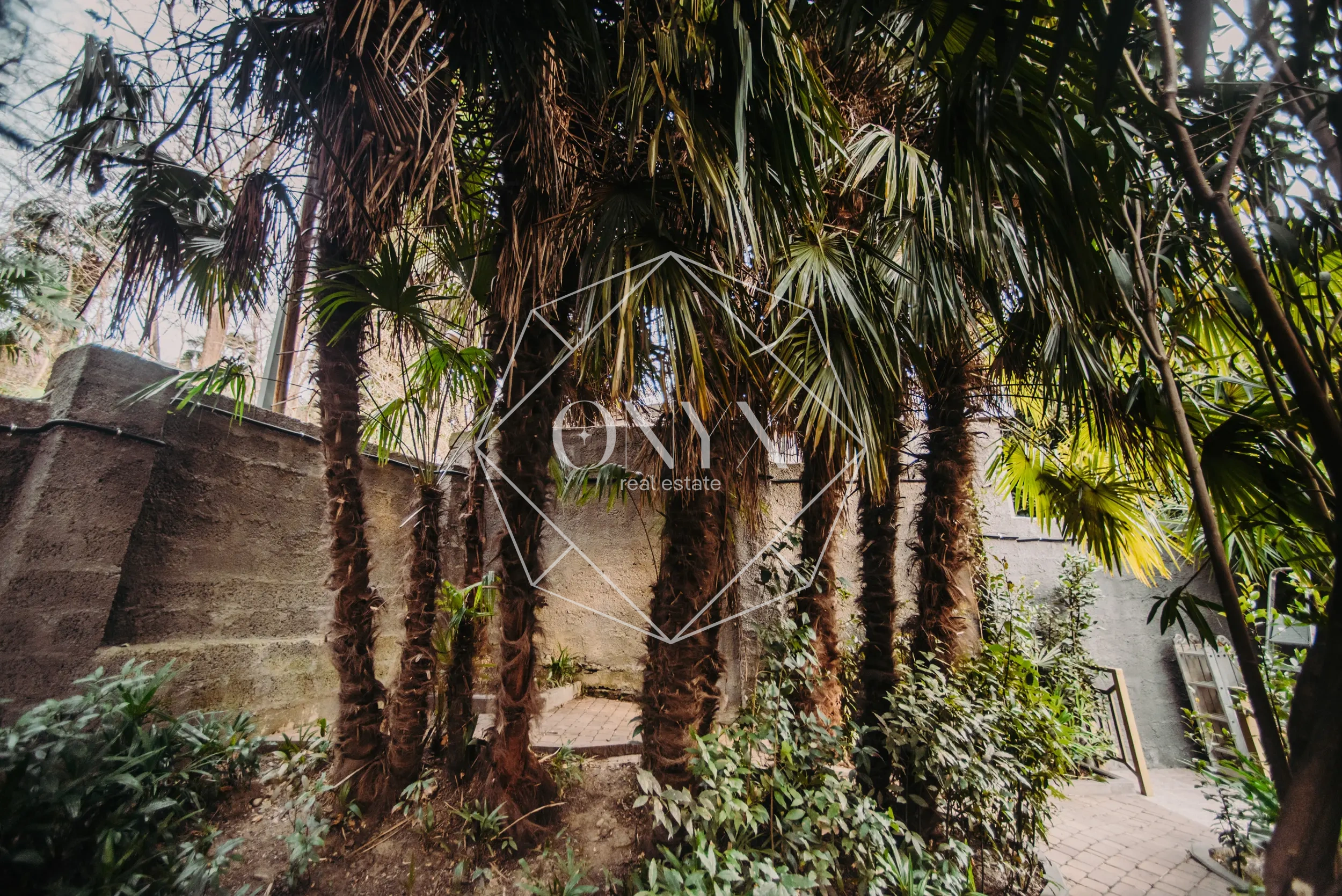 Изображение 14