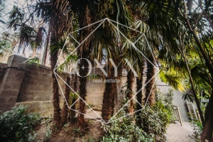 Изображение 14