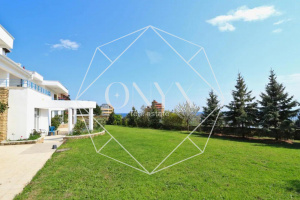 Изображение 16