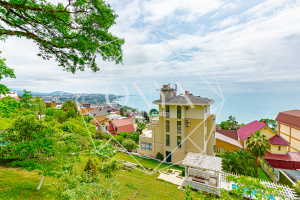 Изображение 11