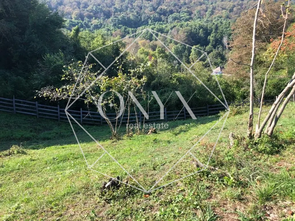 Изображение 8