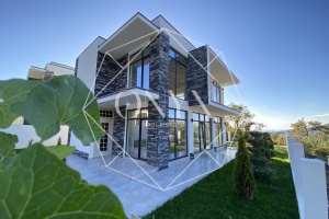 Изображение 12