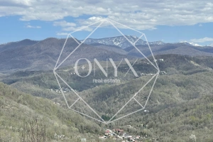 Изображение 13