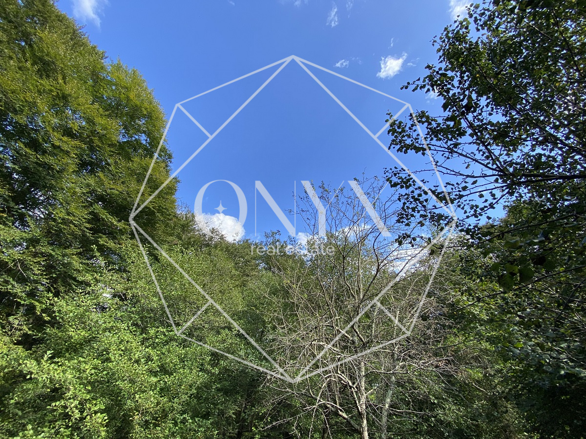 Изображение 14