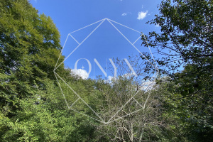 Изображение 14